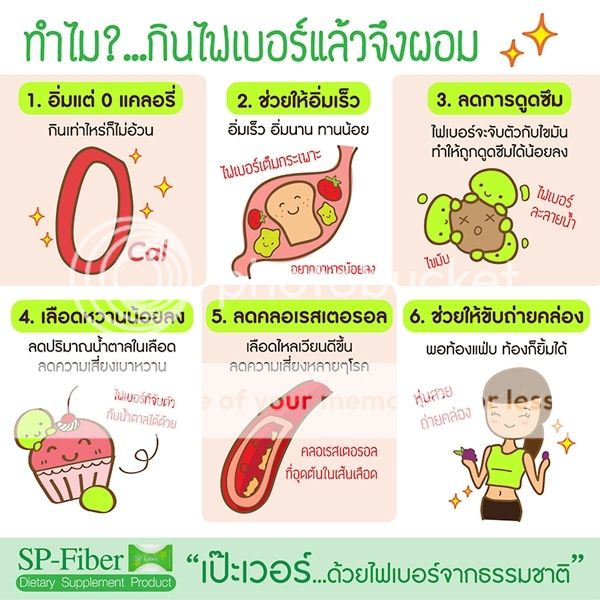 ผอมด้วย sp fiber