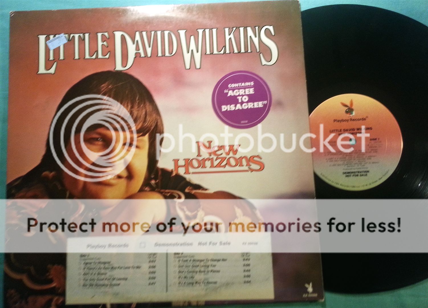 New Horizons - Little David Wilkins