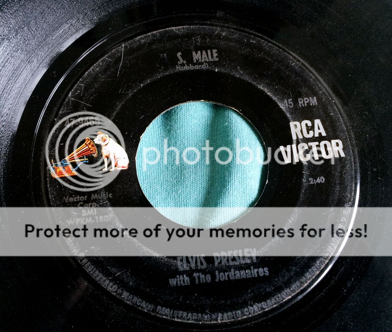 Elvis Presley - Us Male/stay Away