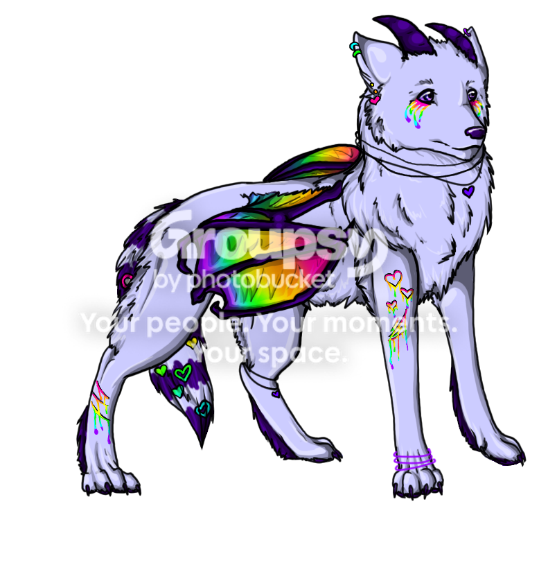User Image