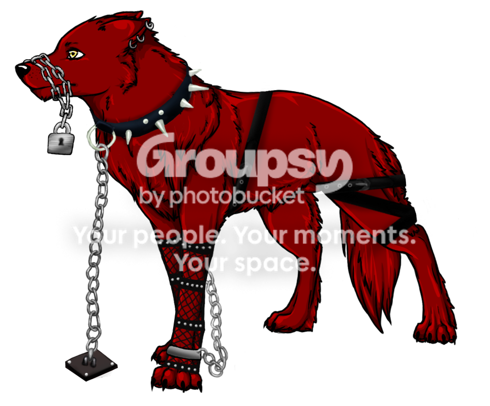 User Image