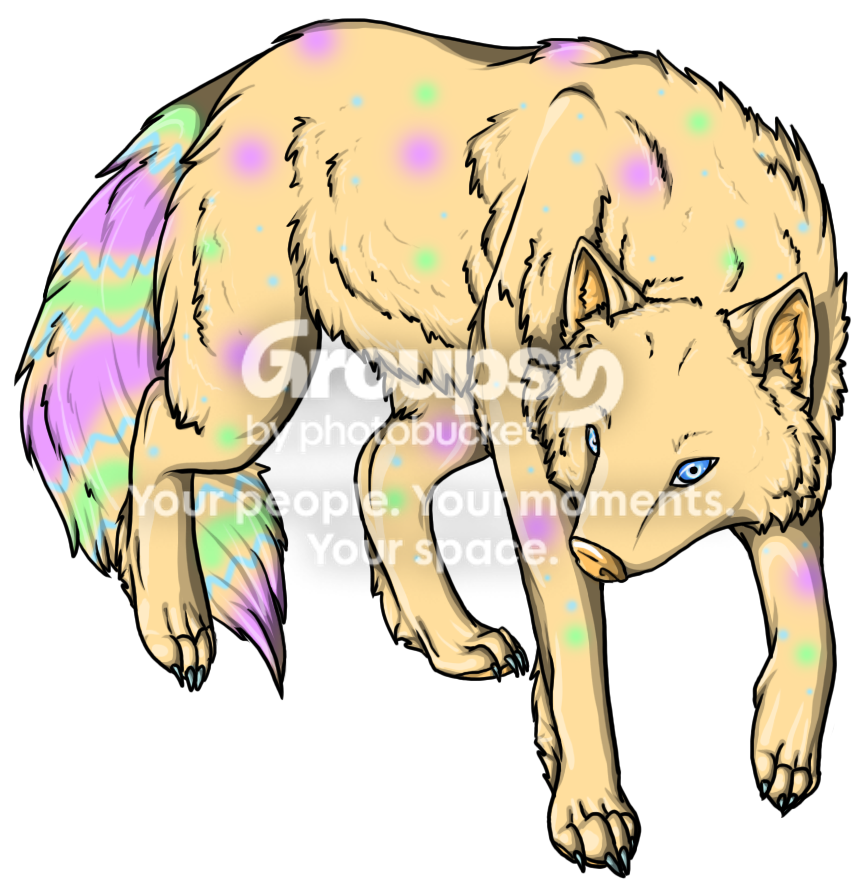 User Image