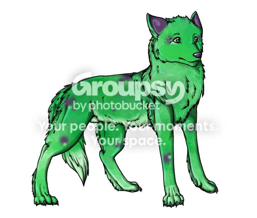 User Image